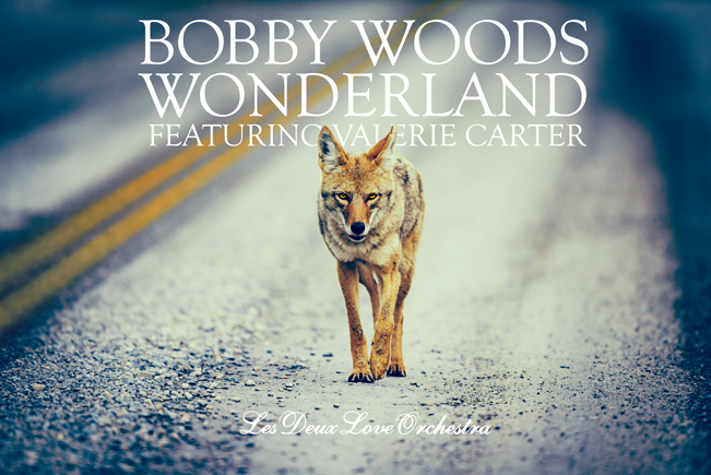Bobby Woods - Wonderland - Les Deux Love Orchestra Featuring Valerie Carter